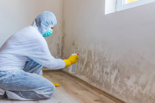 Licensed Commercial Mold Remediation service in Marietta, PA - WQB Mold Removal