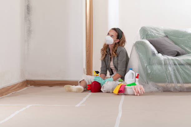 Reliable Commercial Mold Remediation contractor in Marietta, PA by WQB Mold Removal